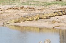 Sunset Cruise ,Chobe Safari Full Day , Airport Transfers Combo 3