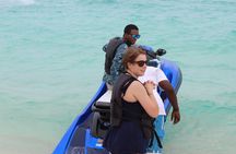 Customizable Half a Day Private Bus Tour in the Bahamas