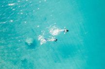 Private - Half day sailing on a modern 36ft from Zadar (up to 8 travellers)