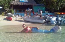 Snorkel & Swim with Turtles. Semi Private Tour to Buck Island & Honeymoon Beach