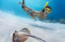 Snorkel & Swim with Turtles. Semi Private Tour to Buck Island & Honeymoon Beach