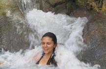 Falmouth Shore Excursion: Dunn's River Falls Express plus Souvenir Shopping