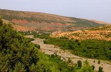 From Marrakech: Private Daytrip to High Atlas, Toubkal National Park and Imlil