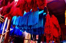 From Agadir: Private day trip to Marrakech