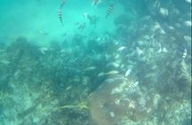  ADVENTURE PACKAGE: Buggy OffRoad Experience & Catamaran Cruise with Snorkeling 