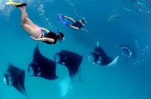  Nusa Penida Snorkeling Adventure (Private & All-Inclusive)