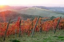 Small-Group Chianti and San Gimignano Sunset Trip from Siena