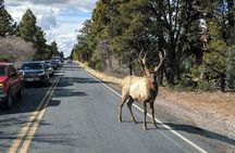 One-Day Private Grand Canyon National Park/Sedona tour from Phoenix-Scottsdale