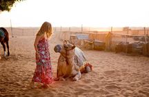 Evening Desert Safari Dubai with BBQ Dinner (Pick Up By Bus) 