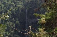 1 Day Kilimanjaro forest (mambori waterfalls).