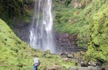 1 Day Kilimanjaro forest (mambori waterfalls).