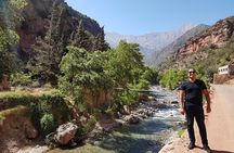 Half-Day Atlas Mountains Tour From Marrakech