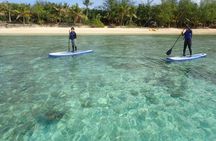 Learn to Stand Up Paddleboard! Includes 5 Star Snorkeling Tour!