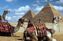 Full Day Pyramids & Sakkara With Lunch