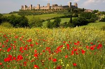 Tuscany Hiking Tour from Siena Including Wine Tasting