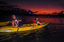Overnight Bio Bay Kayak Tour in Vieques Island