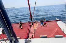 Snorkeling Discovery sailing in Los Cabos