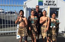 Tauranga Shore Excursion: Rotorua Tour including Gondola ride and fun Luge (opt)