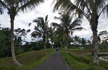 Bali Amazing Cycling Tour