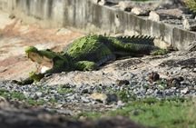 Special Leopard Safari Tour in Yala National Park by Malith & the team