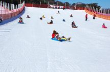 Elysian Gangchon Ski Resort with Nami Island Day Tour from Seoul