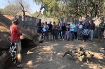 Lesedi Cultural Village Tour with Lunch from Johannesburg 