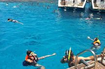 Snorkeling and white island tour in Sharm El Sheikh