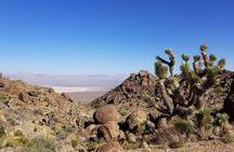 Half-Day Electric Bike Tour of Red Rock Canyon