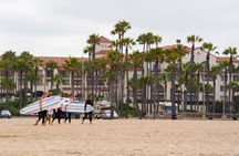 Whale-Watching and Orange County Beaches Tour from Anaheim
