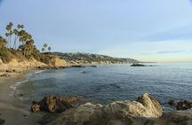 Whale-Watching and Orange County Beaches Tour from Anaheim
