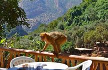 Atlas Mountains Ouzoud waterfalls 