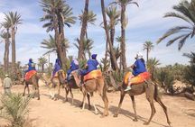 Agafay Desert Experience Camel Trek, Quad Ride & Dinner Show