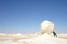Private Day Trip To Bahariya Oasis with Black Sahara from Cairo 