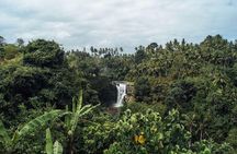 Best Waterfalls of Ubud