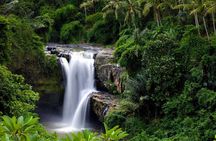 Best Waterfalls of Ubud