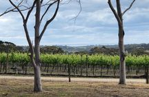 Yarra Valley Wine Tour inc lunch with a glass of wine, tastings and chocolate