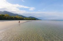 Cape Tribulation & Daintree Wilderness (TCT)