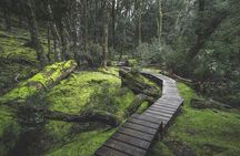 Cradle Mountain - Hobart to Launceston Day Tour