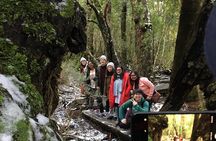 Cradle Mountain - Hobart to Launceston Day Tour