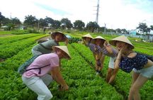 Hoi An Countryside - Buffalo Riding - Basket Boat Rowing
