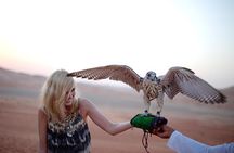 Thrilling Morning Red Dune Desert Safari with Camel Ride in Dubai