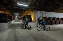 Private Bike Tour to Cricova Winery with wine tasting and lunch 