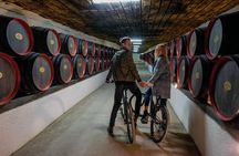Private Bike Tour to Cricova Winery with wine tasting and lunch 