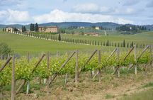 It's Wine Time! 2 wineries & farm-to-table lunch—max 8 pp