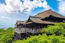 Kyoto 4hr Private Tour with Government-Licensed Guide