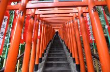 Haneda Layover tour of 6hours with local Japanese guide by train 