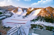 Elysian Gangchon Ski Resort with Nami Island Day Tour from Seoul