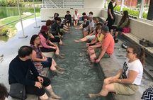 Tauranga Shore Excursion: Rotorua Tour including Gondola ride and fun Luge (opt)