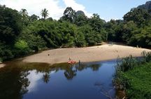 3-in-1 Ultimate Borneo Expedition Adventure
