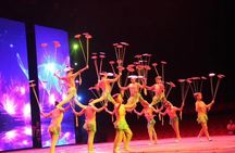Chaoyang Acrobatic show plus Dim Sum Dinner Experience in Beijing
